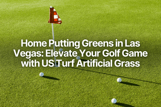 putting green made with artificial grass with scattered gold balls around the hole