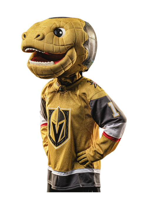 chance from vegas golden knights