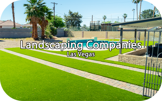 Landscaping Companies Las Vegas | US Turf