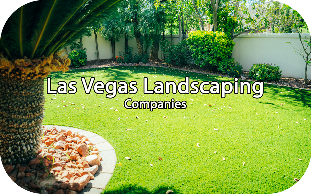 Las Vegas Landscaping Companies | Trusted Desert Landscaping by US Turf - us turf