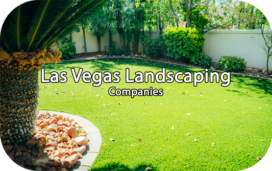 Las Vegas Landscaping Companies | Trusted Desert Landscaping by US Turf - us turf