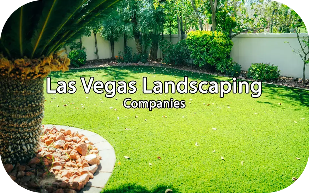 Las Vegas Landscaping Companies | Trusted Desert Landscaping by US Turf - us turf