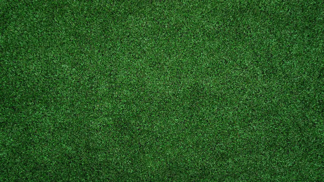 The Environmental Impact of Artificial Grass vs. Natural Grass