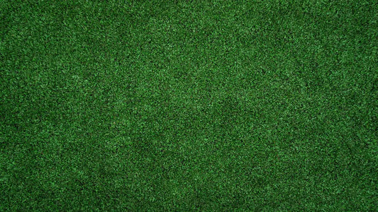 The Environmental Impact of Artificial Grass vs. Natural Grass