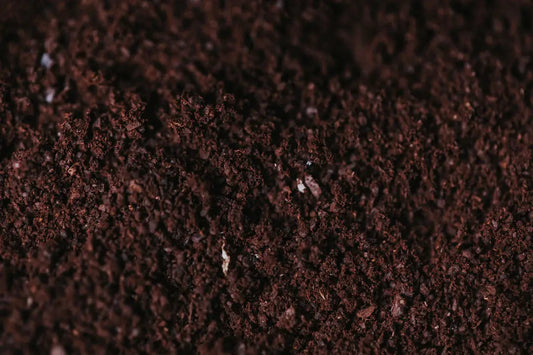 The Vital Role of Soil Quality in Your Landscaping Efforts