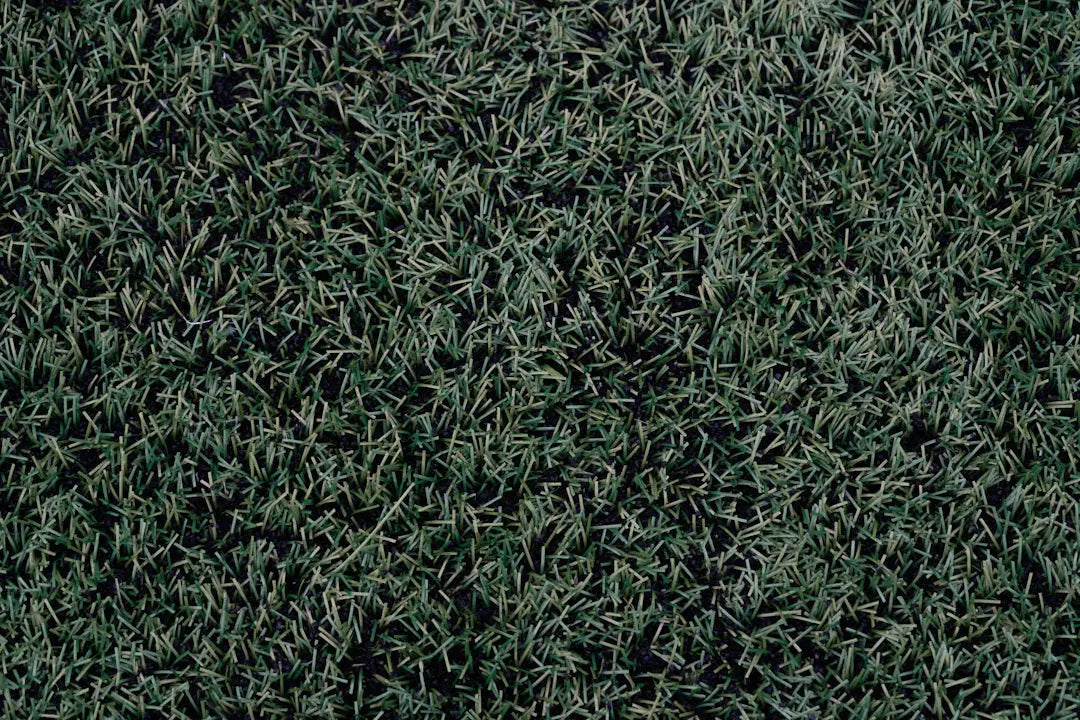 Year-Round Care for Your Artificial Grass Surfaces