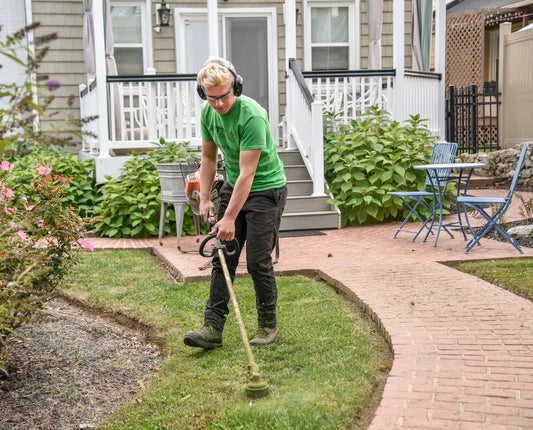 Avoid These Landscaping Mistakes in Las Vegas
