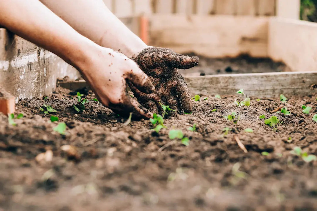 The Key to Gorgeous Landscaping Soil Preparation