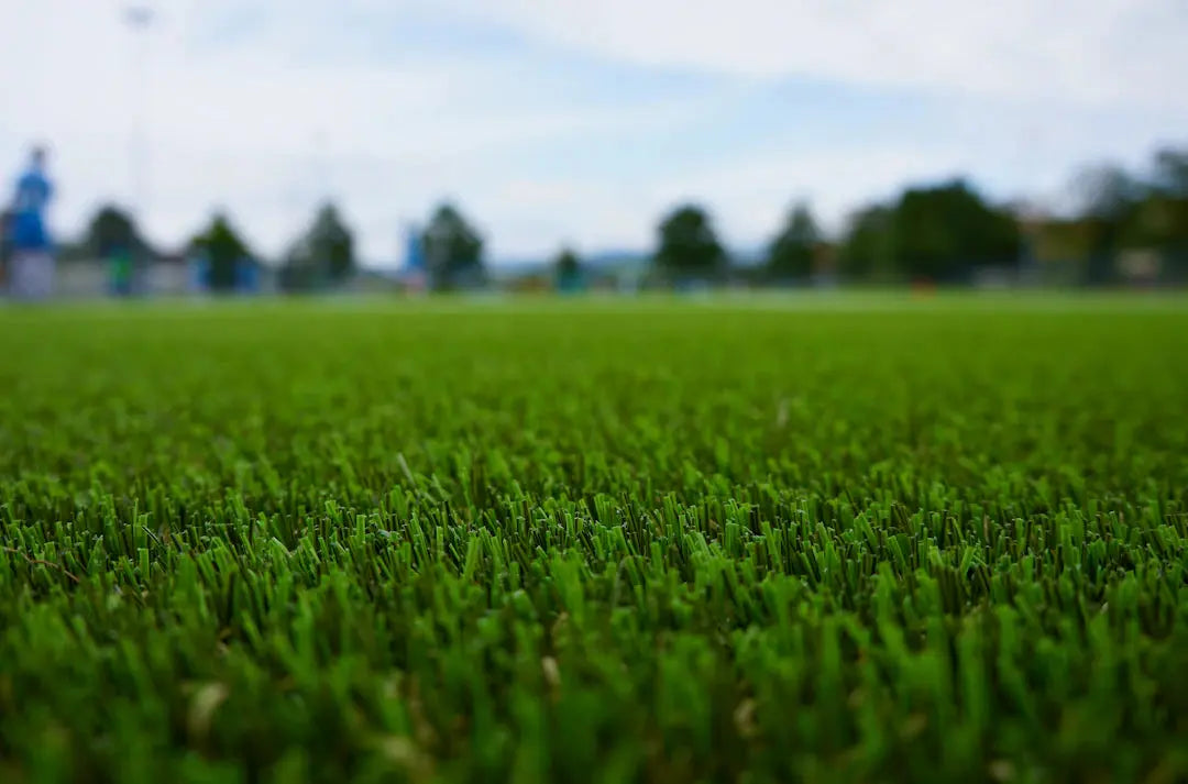 The Lifespan of Artificial Grass and When to Replace It