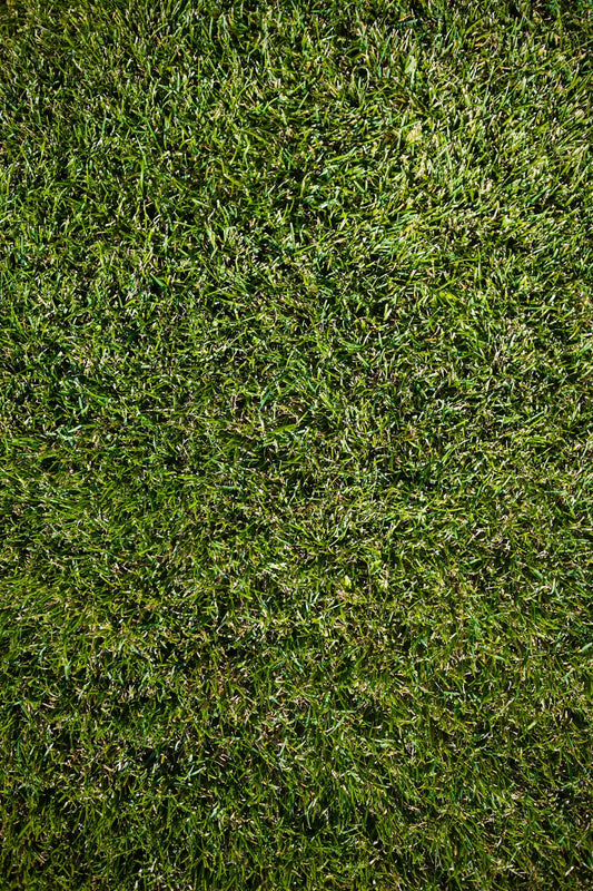 Maintain Your Artificial Grass for Lasting Perfection
