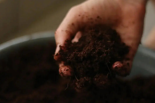 The Key to Lush Landscapes Soil Preparation Essentials