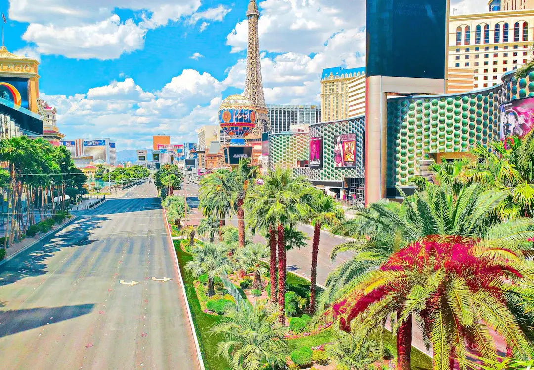 Transform Your Outdoor Space Landscaping Benefits in Las Vegas