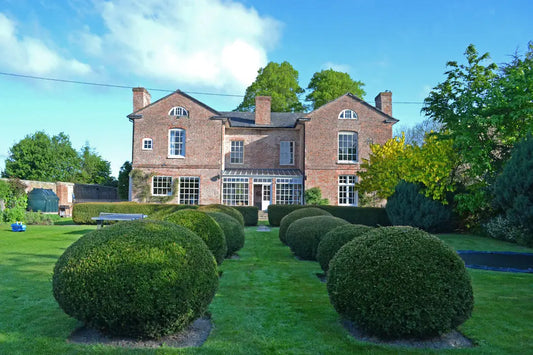 The Impact of Landscaping on Home Value