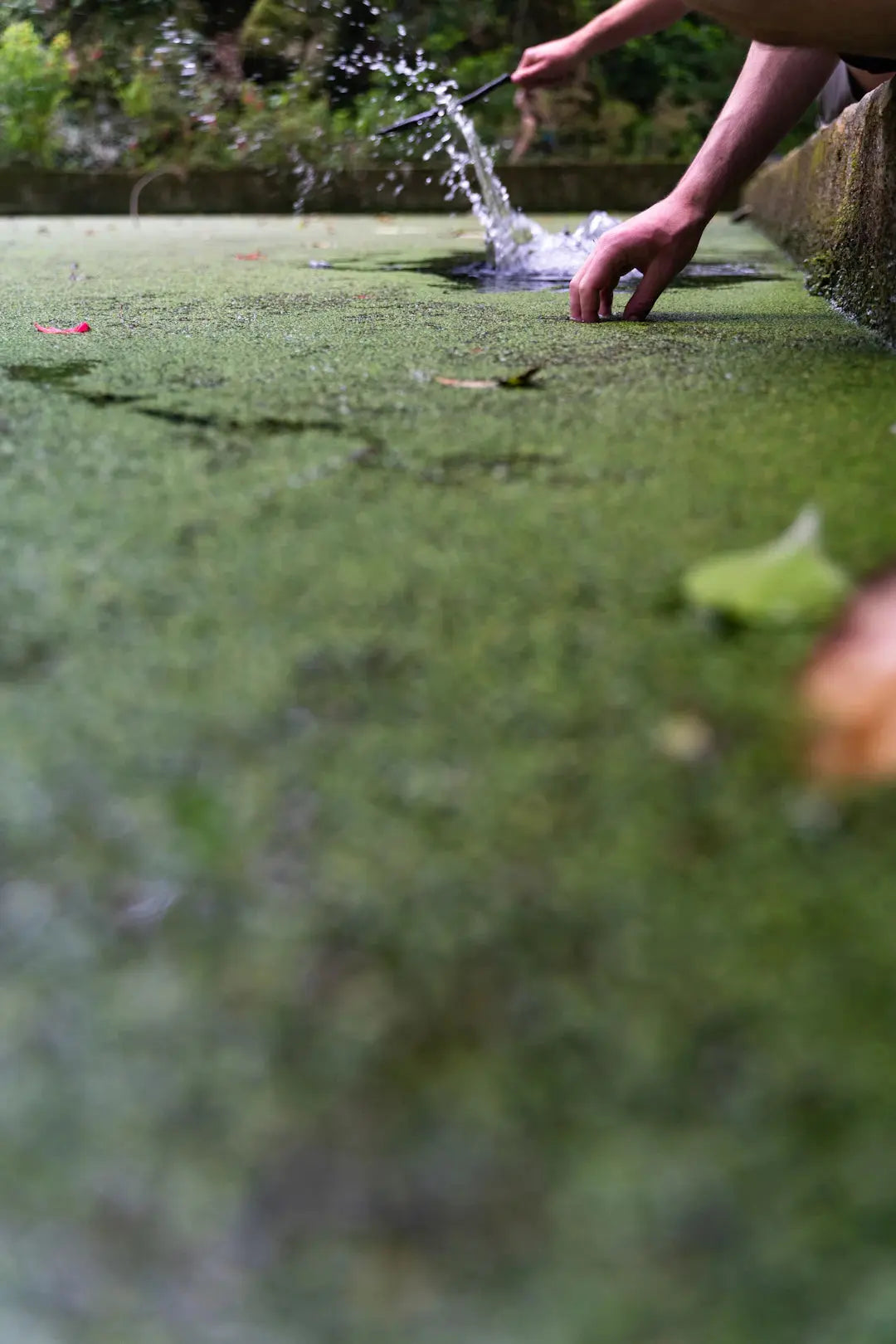 Preparing Your Lawn for Artificial Turf Installation