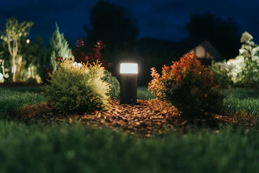 Light Up Your Landscape Choosing the Right Lighting