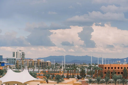 The Importance of Drainage in Desert Landscapes