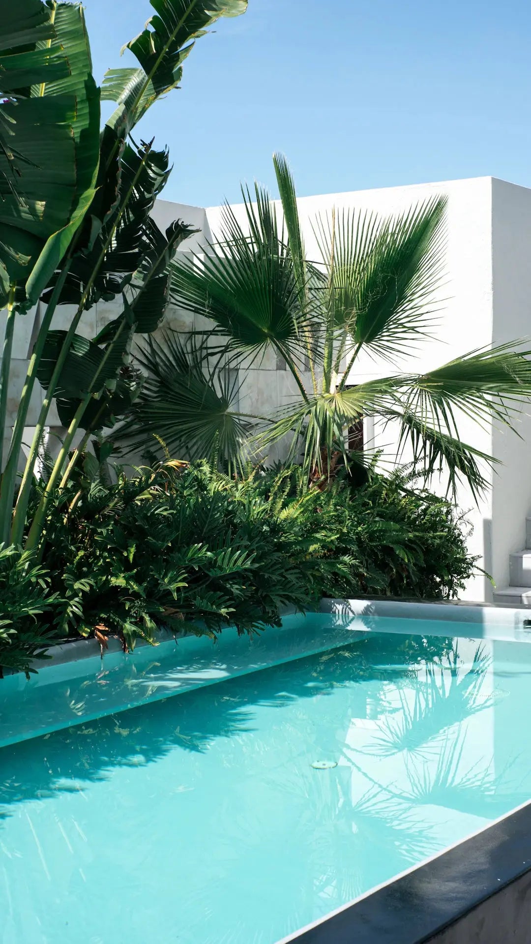 Elevate Your Poolside Oasis with Innovative Landscaping