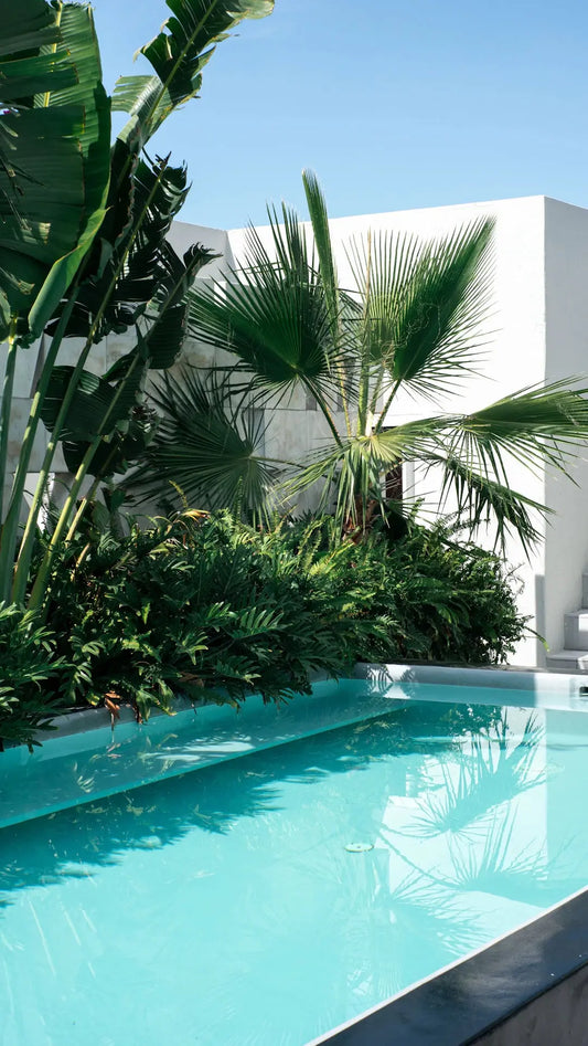 Elevate Your Poolside Oasis with Innovative Landscaping