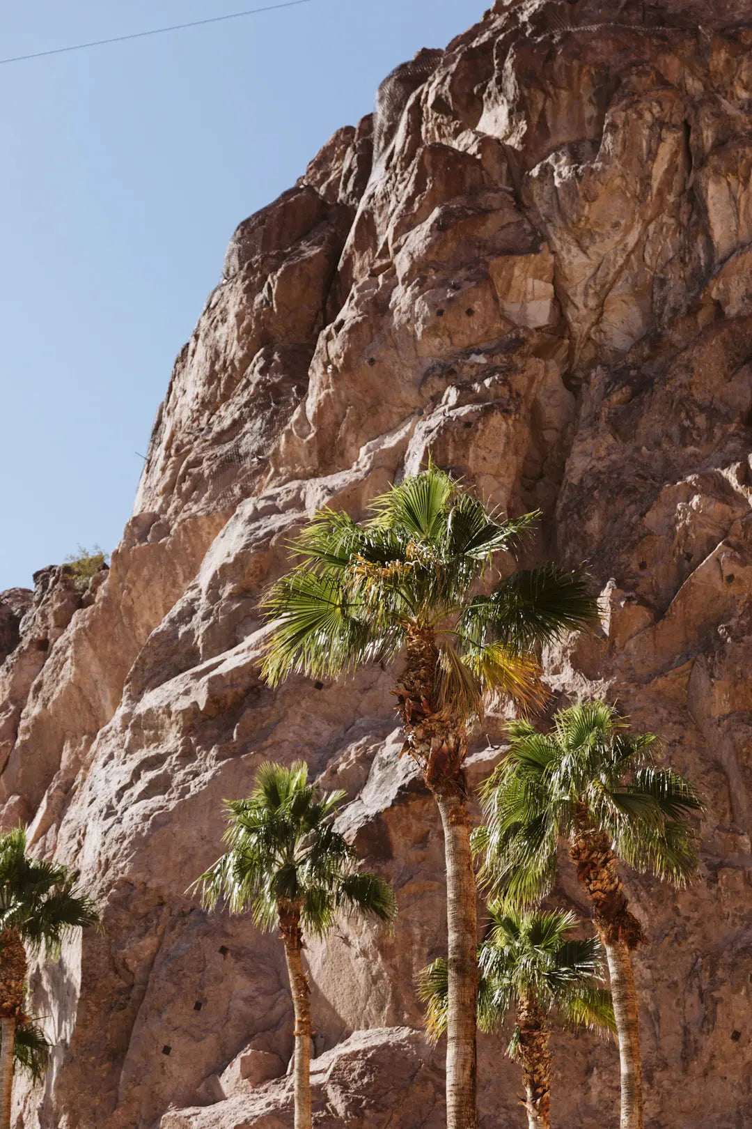 Discover Las Vegas' Hottest Landscaping Trends