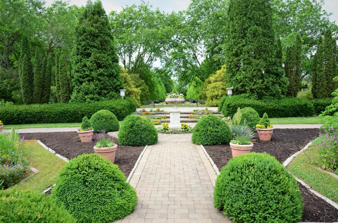 Boost Energy Efficiency with Strategic Landscaping