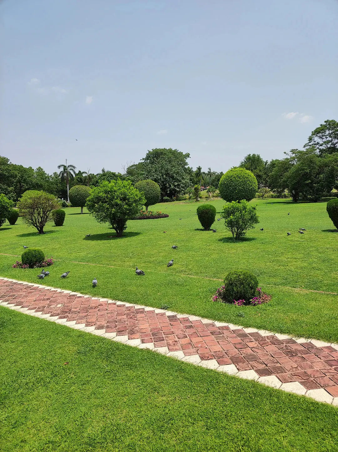 Transform Your Small Yard with Artificial Grass Tips