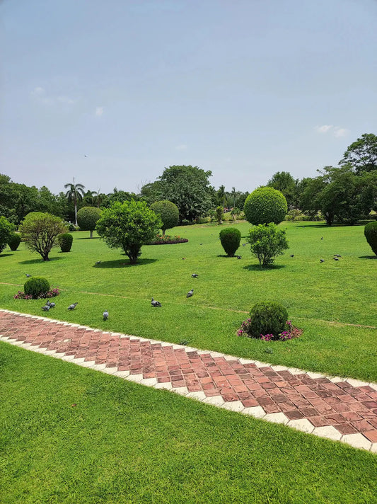 Transform Your Small Yard with Artificial Grass Tips