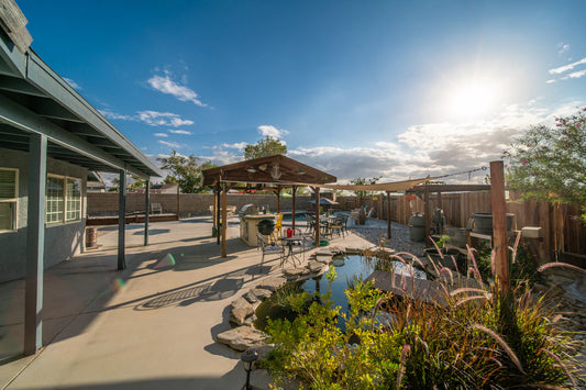 Transform Your Backyard into a Lush Oasis