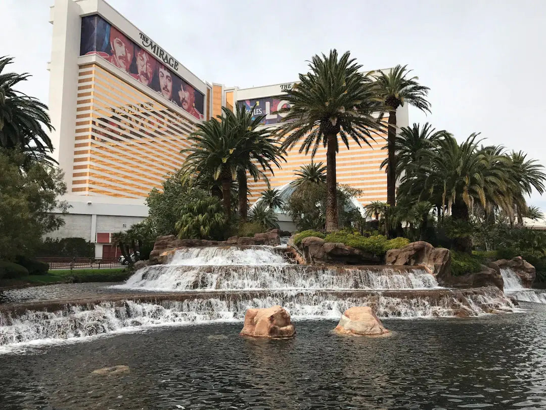 The Future of Landscaping in Las Vegas Trends  Innovations