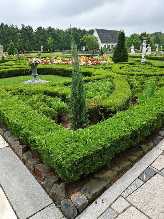 Choosing the Perfect Landscaping Style for Your Home