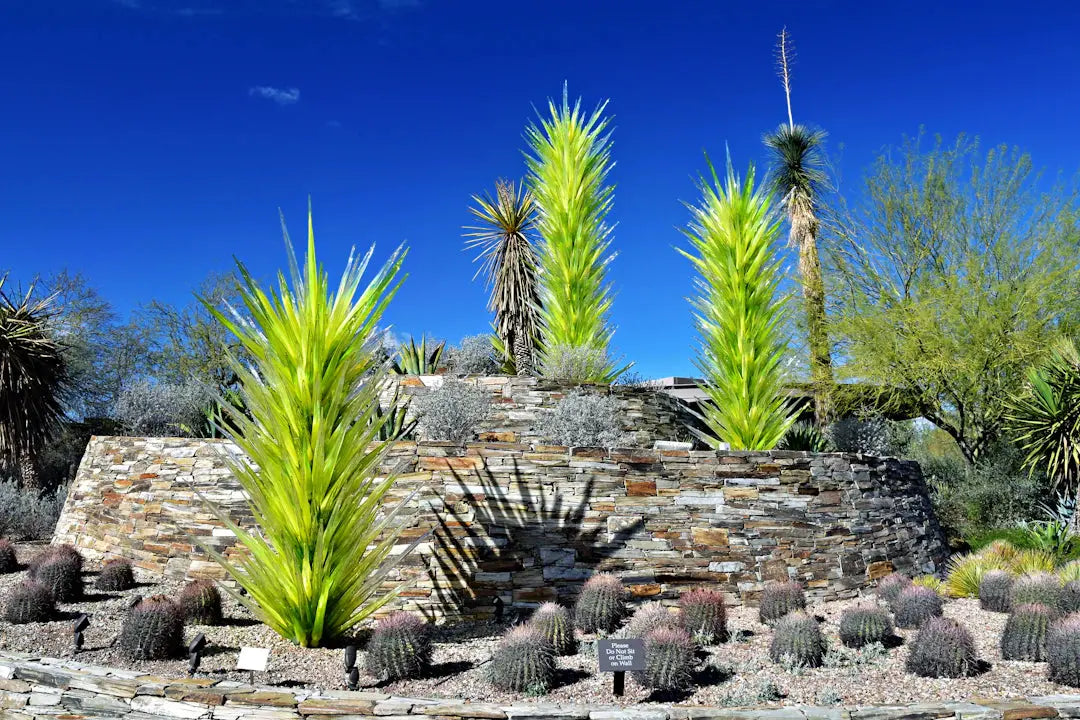 Top Water Conservation Tips for Las Vegas Gardens