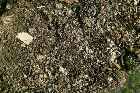 The Secret to Beautiful Landscapes Soil Quality Matters