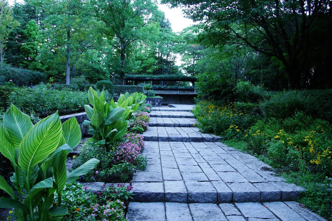 Essential Seasonal Landscaping Tips for Las Vegas Homes