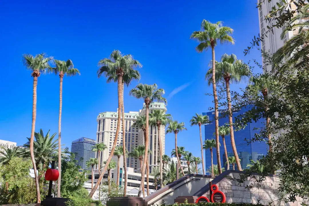 Inspiring Landscaping Ideas from Las Vegas Homes