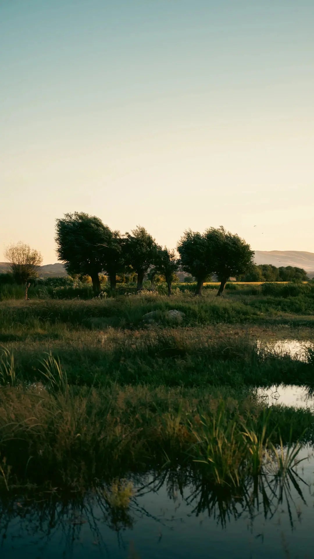 Transform Your Outdoors Landscaping with Artificial Grass