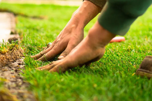 Mastering Artificial Grass Installation for Your Home
