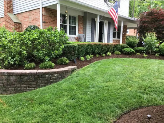 Landscaping Solutions for High Traffic Areas