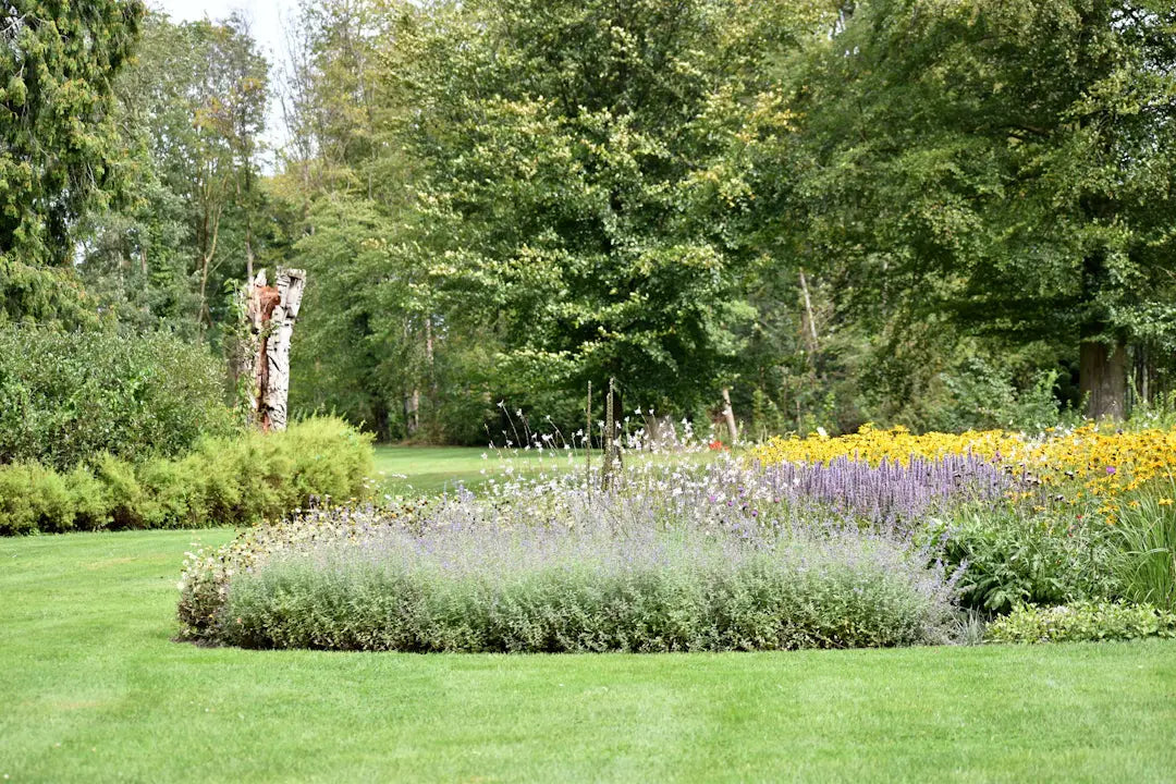 Blend Nature  Turf Expert Tips for Your Landscape