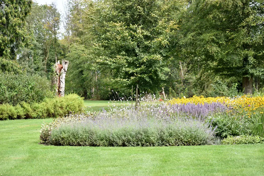 Blend Nature  Turf Expert Tips for Your Landscape