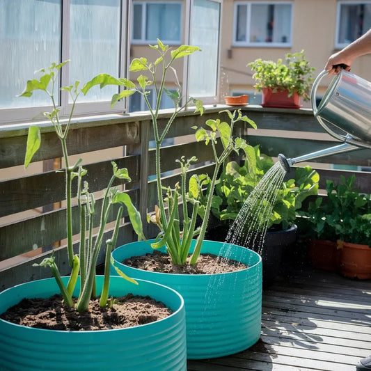 Maximizing Small Outdoor Spaces with Creative Landscaping