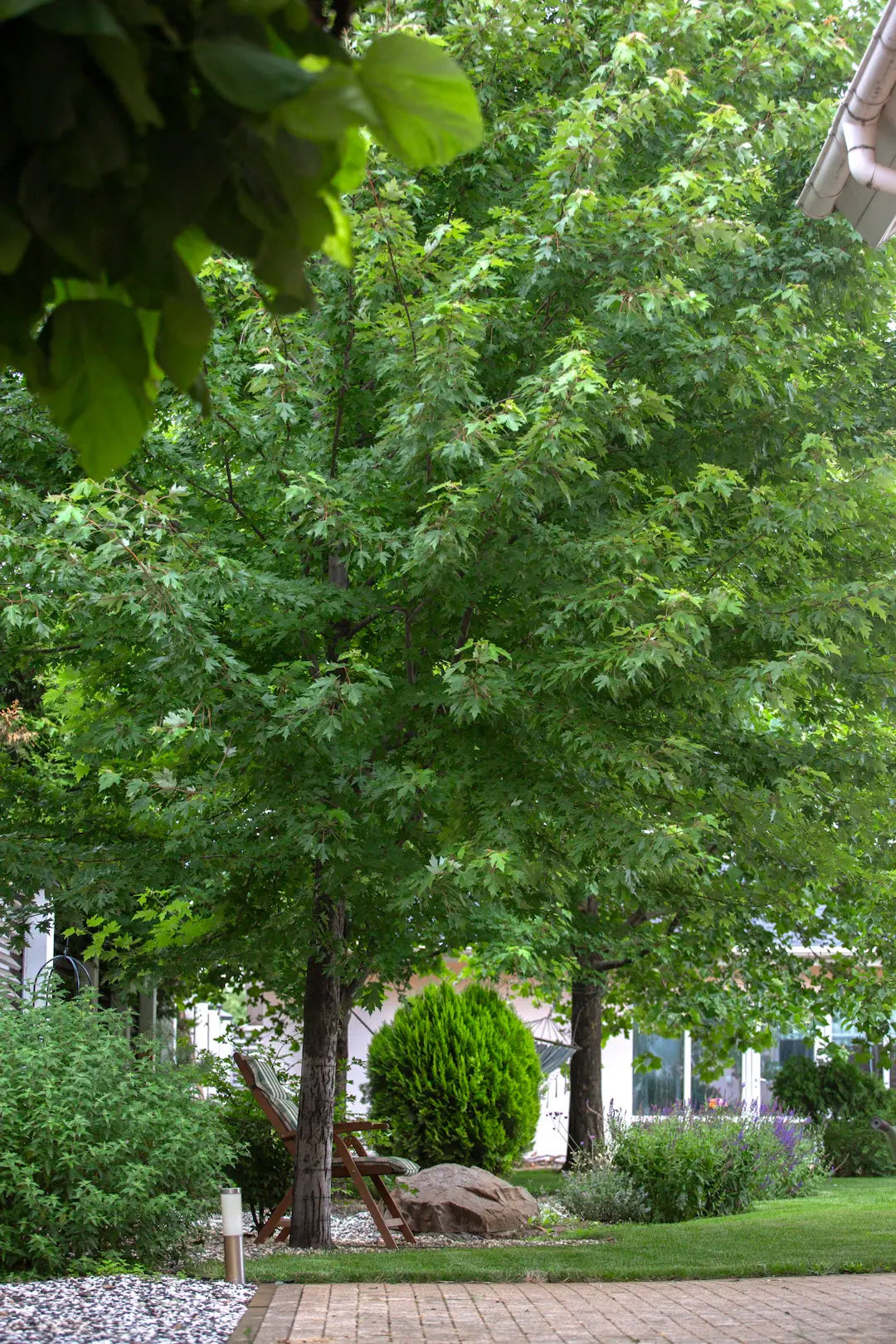 Shade Solutions for Your Sunny Las Vegas Yard