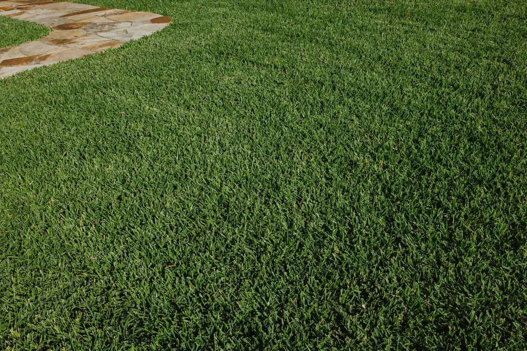 Transform Your Backyard with Artificial Grass and Hardscapes