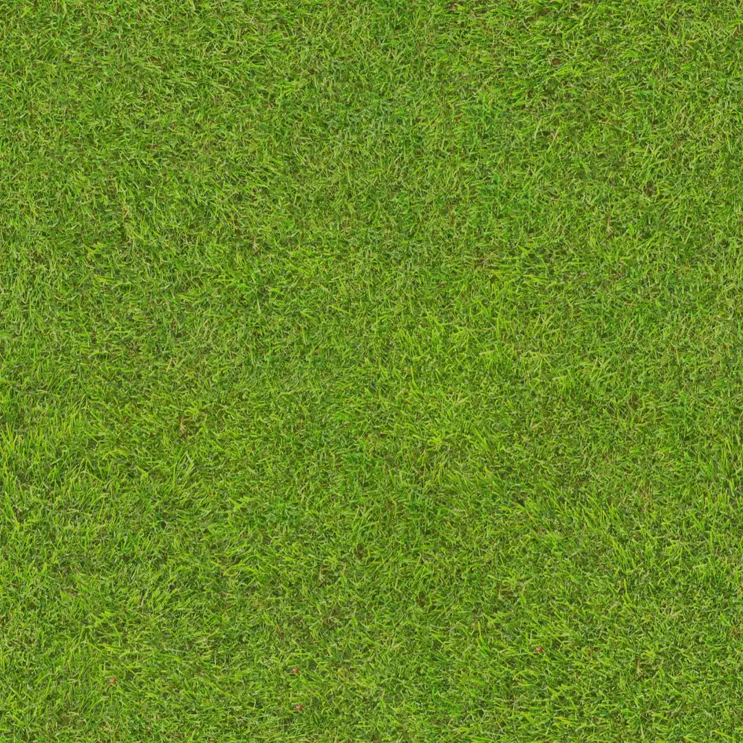 Transform Your Home Combat Allergies with Artificial Grass