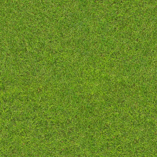 Transform Your Home Combat Allergies with Artificial Grass