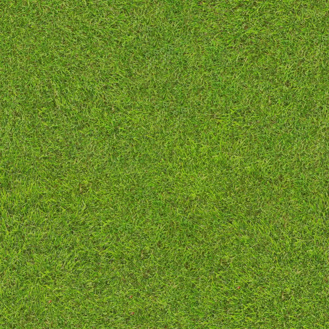 Transform Your Home Combat Allergies with Artificial Grass