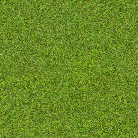 Transform Your Home Combat Allergies with Artificial Grass