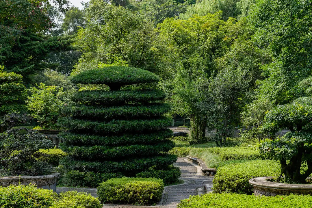 Landscaping Styles to Elevate Your Home’s Curb Appeal