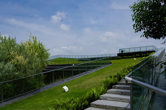 Embrace Green Sustainable Landscaping Practices