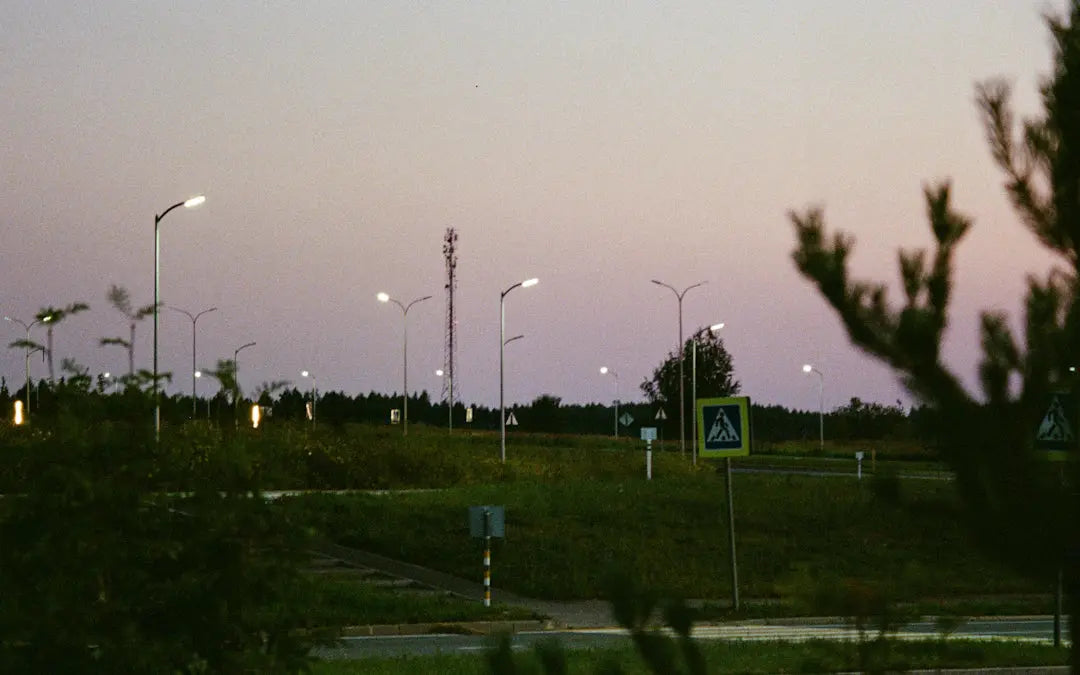 Illuminate Your Outdoors The Magic of Landscape Lighting