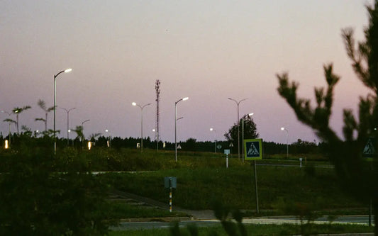 Illuminate Your Outdoors The Magic of Landscape Lighting