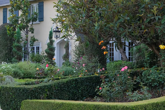 The Role of Landscape Design in Increasing Home Value